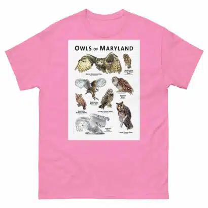 Owls of Maryland - Unisex classic tee - Image 7