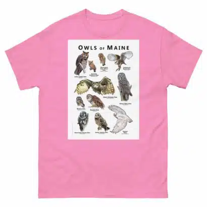 Owls of Maine - Unisex classic tee - Image 7