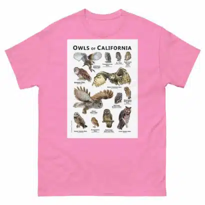 Owls of California - Unisex classic tee - Image 7