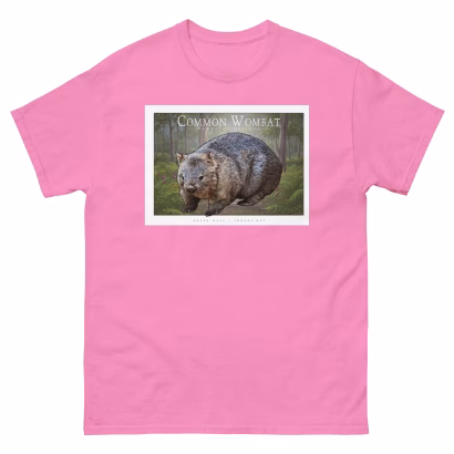 Common Wombat - Unisex classic tee - Image 12