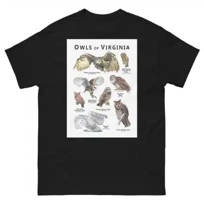 Owls of Virginia - Unisex classic tee - Image 2