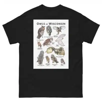 Owls of Wisconsin - Unisex classic tee - Image 2