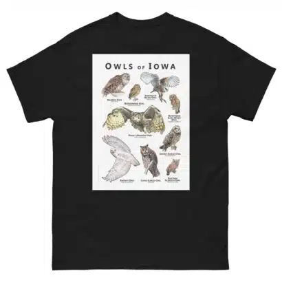 Owls of Iowa - Unisex classic tee - Image 2