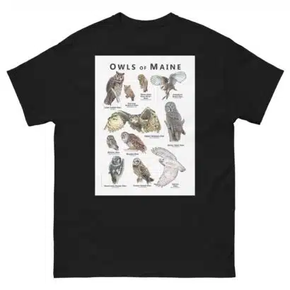 Owls of Maine - Unisex classic tee - Image 2