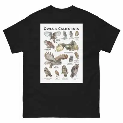 Owls of California - Unisex classic tee - Image 2