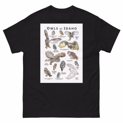 Owls of Idaho - Unisex classic tee - Image 2