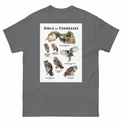 Owls of Tennessee - Unisex classic tee - Image 4
