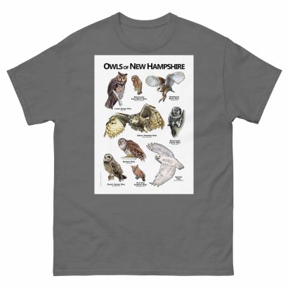 Owls of New Hampshire - Unisex classic tee - Image 4