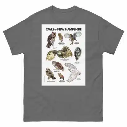 Owls of New Hampshire - Unisex classic tee - Image 4