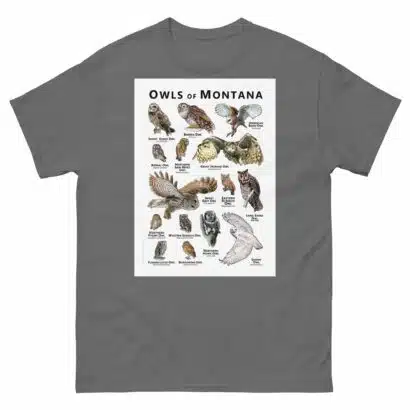 Owls of Montana - Unisex classic tee - Image 4