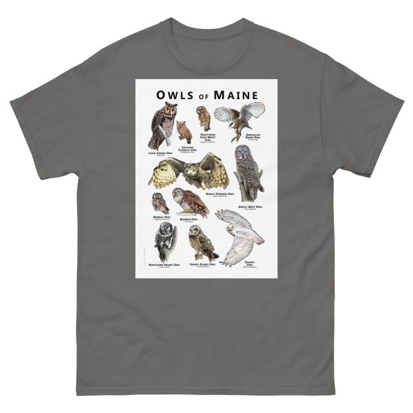 Owls of Maine - Unisex classic tee - Image 4