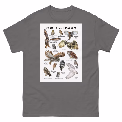 Owls of Idaho - Unisex classic tee - Image 4