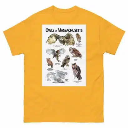 Owls of Massachusetts - Unisex classic tee - Image 8