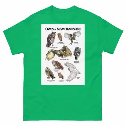 Owls of New Hampshire - Unisex classic tee - Image 6