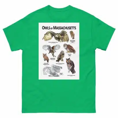 Owls of Massachusetts - Unisex classic tee - Image 6