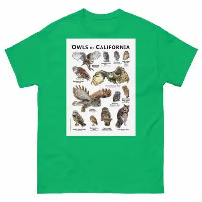 Owls of California - Unisex classic tee - Image 6