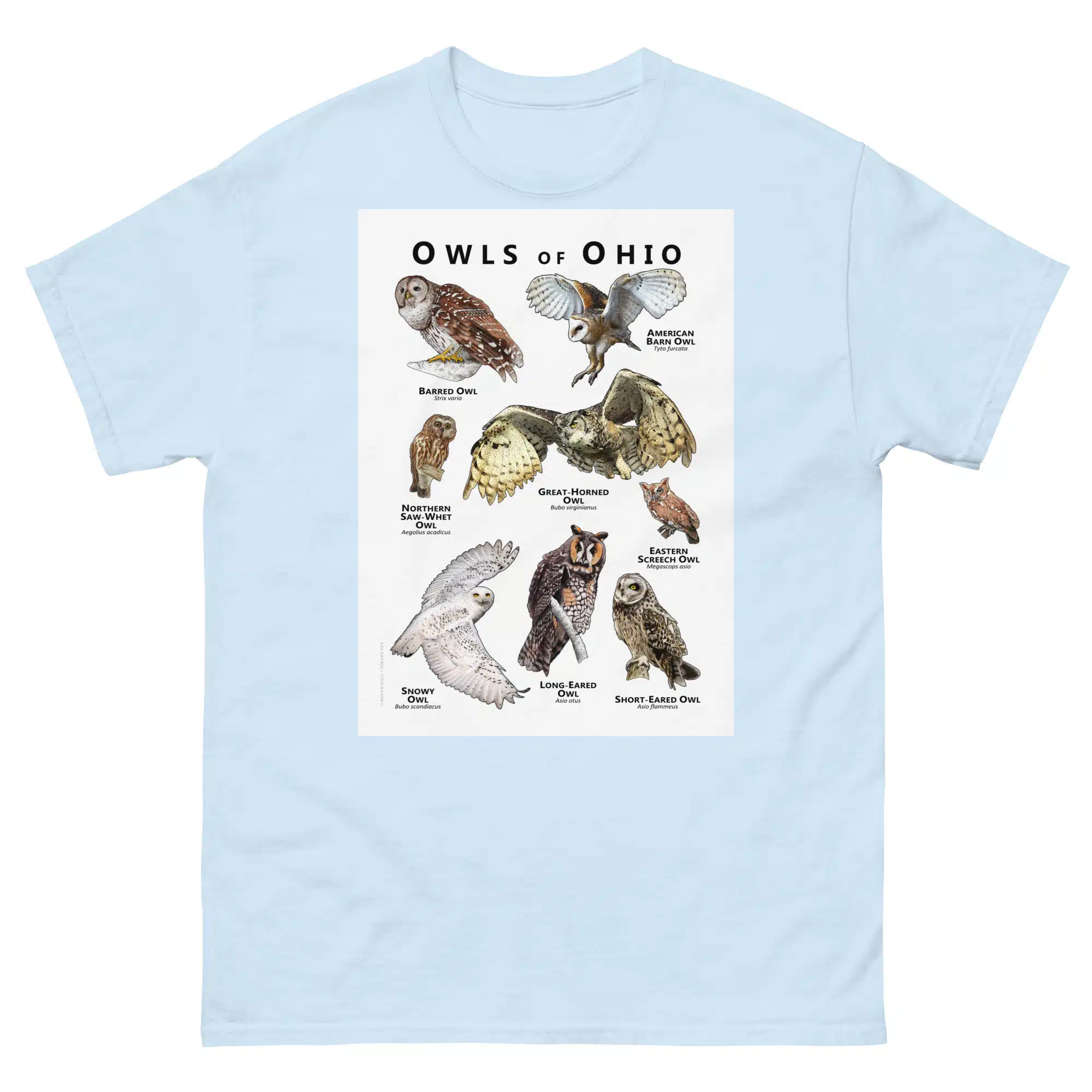 Owls of Ohio - Unisex classic tee – inkart