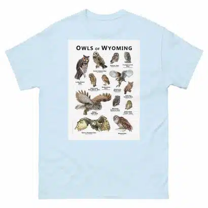 Owls of Wyoming - Unisex classic tee - Image 10