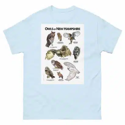 Owls of New Hampshire - Unisex classic tee - Image 10