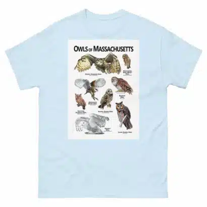 Owls of Massachusetts - Unisex classic tee - Image 10