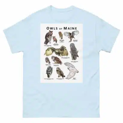 Owls of Maine - Unisex classic tee - Image 10