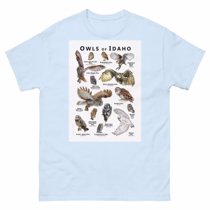 Owls of Idaho - Unisex classic tee - Image 11