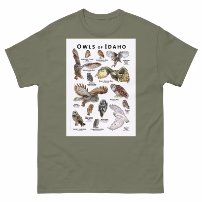 Owls of Idaho - Unisex classic tee - Image 5