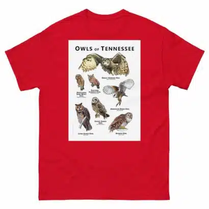 Owls of Tennessee - Unisex classic tee - Image 3