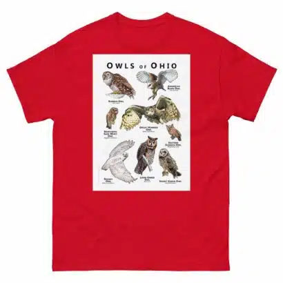 Owls of Ohio - Unisex classic tee - Image 3