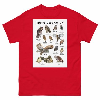 Owls of Wyoming - Unisex classic tee - Image 3