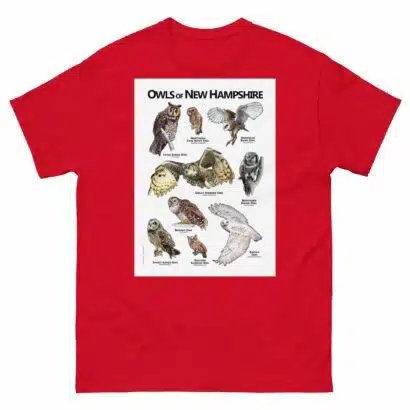 Owls of New Hampshire - Unisex classic tee - Image 3