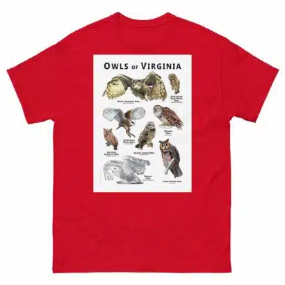 Owls of Virginia - Unisex classic tee - Image 3