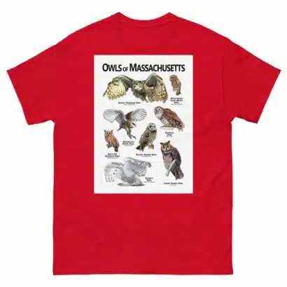 Owls of Massachusetts - Unisex classic tee - Image 3