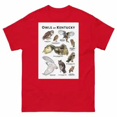 Owls of Kentucky - Unisex classic tee - Image 3
