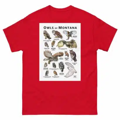 Owls of Montana - Unisex classic tee - Image 3