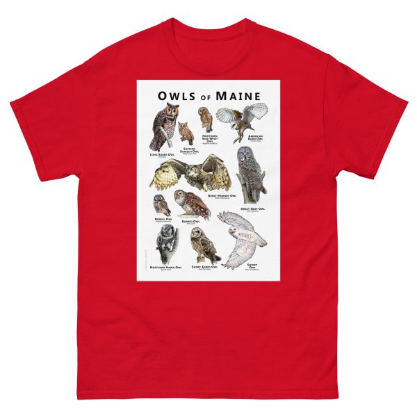 Owls of Maine - Unisex classic tee - Image 3