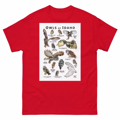 Owls of Idaho - Unisex classic tee - Image 3