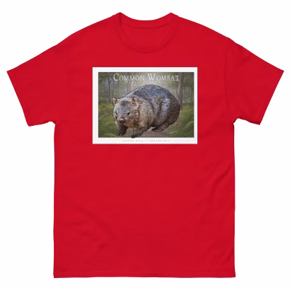 Common Wombat - Unisex classic tee - Image 4