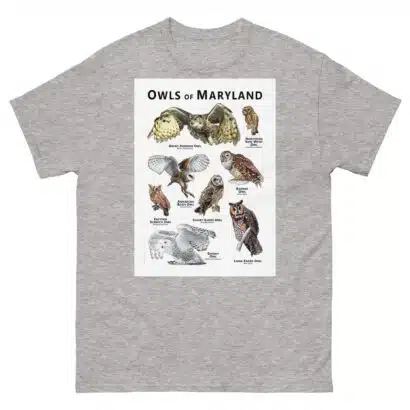 Owls of Maryland - Unisex classic tee - Image 9