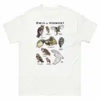 Owls of Vermont t-shirt