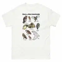 Owls of New Hampshire t-shirt