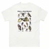 Owls of New Mexico