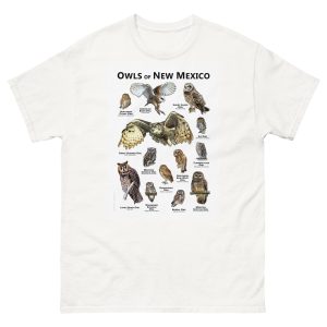 Owls of New Mexico