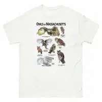 Owls of Massachusetts t-shirt