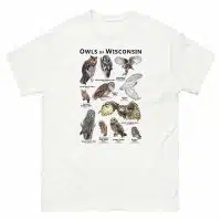 Owls of Wisconsin t-shirt