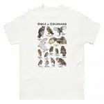 Owls of Colorado