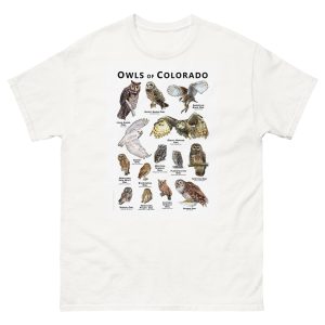 Owls of Colorado