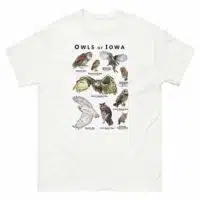Owls of Iowa poster