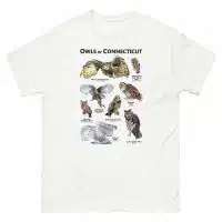 Owls of Connecticut t-shirt