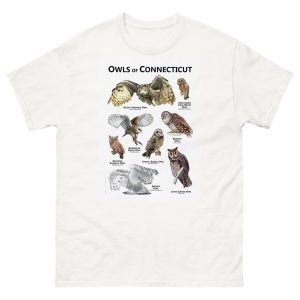 Owls of Connecticut t-shirt